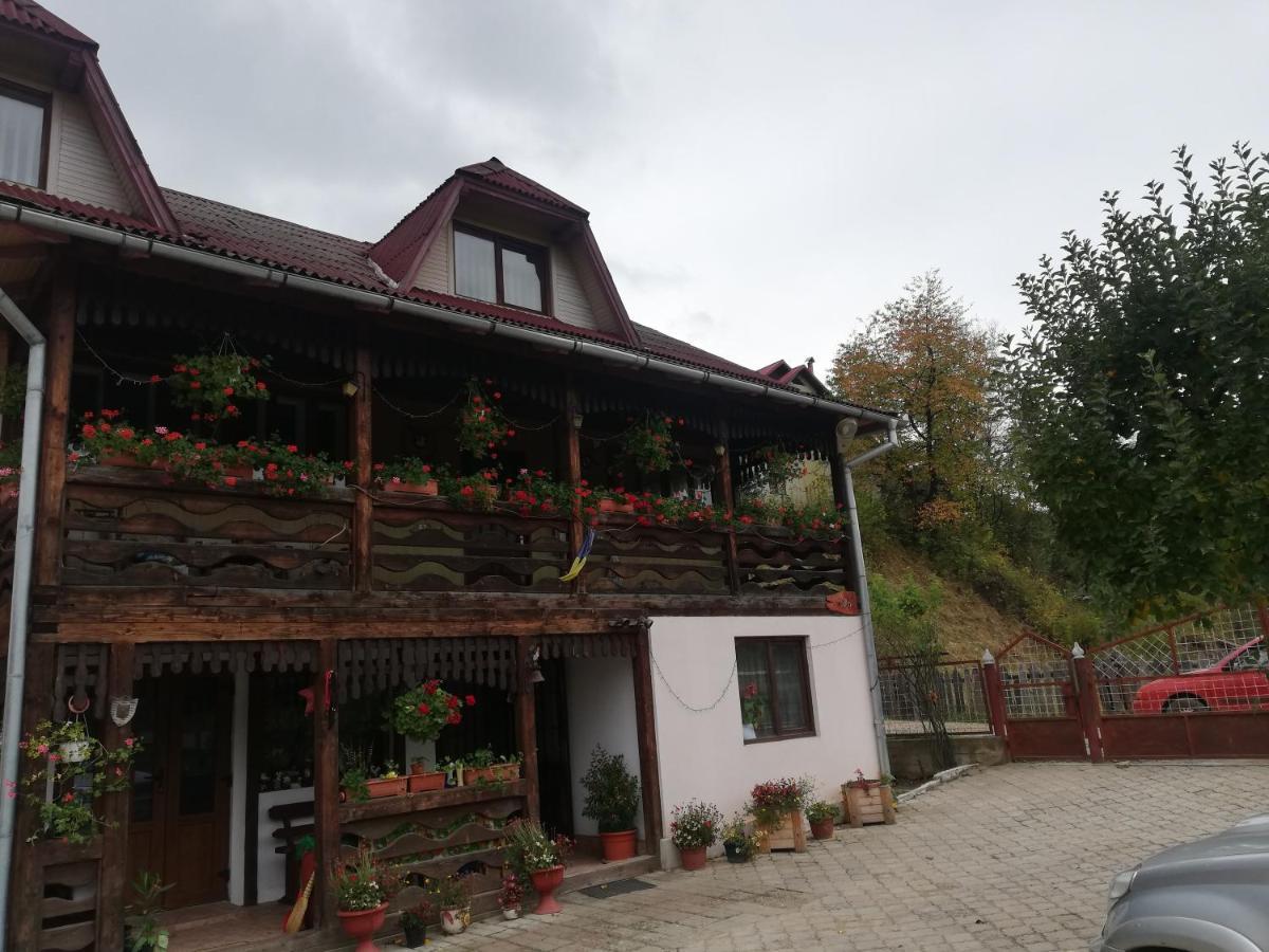 Casa Cozorici Sadova (Suceava) Exterior foto
