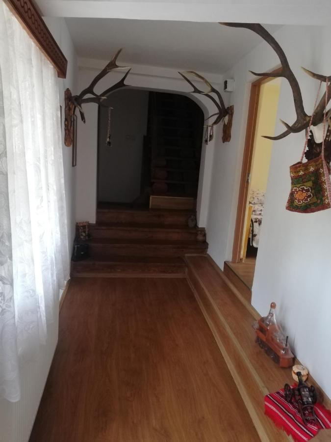 Casa Cozorici Sadova (Suceava) Exterior foto