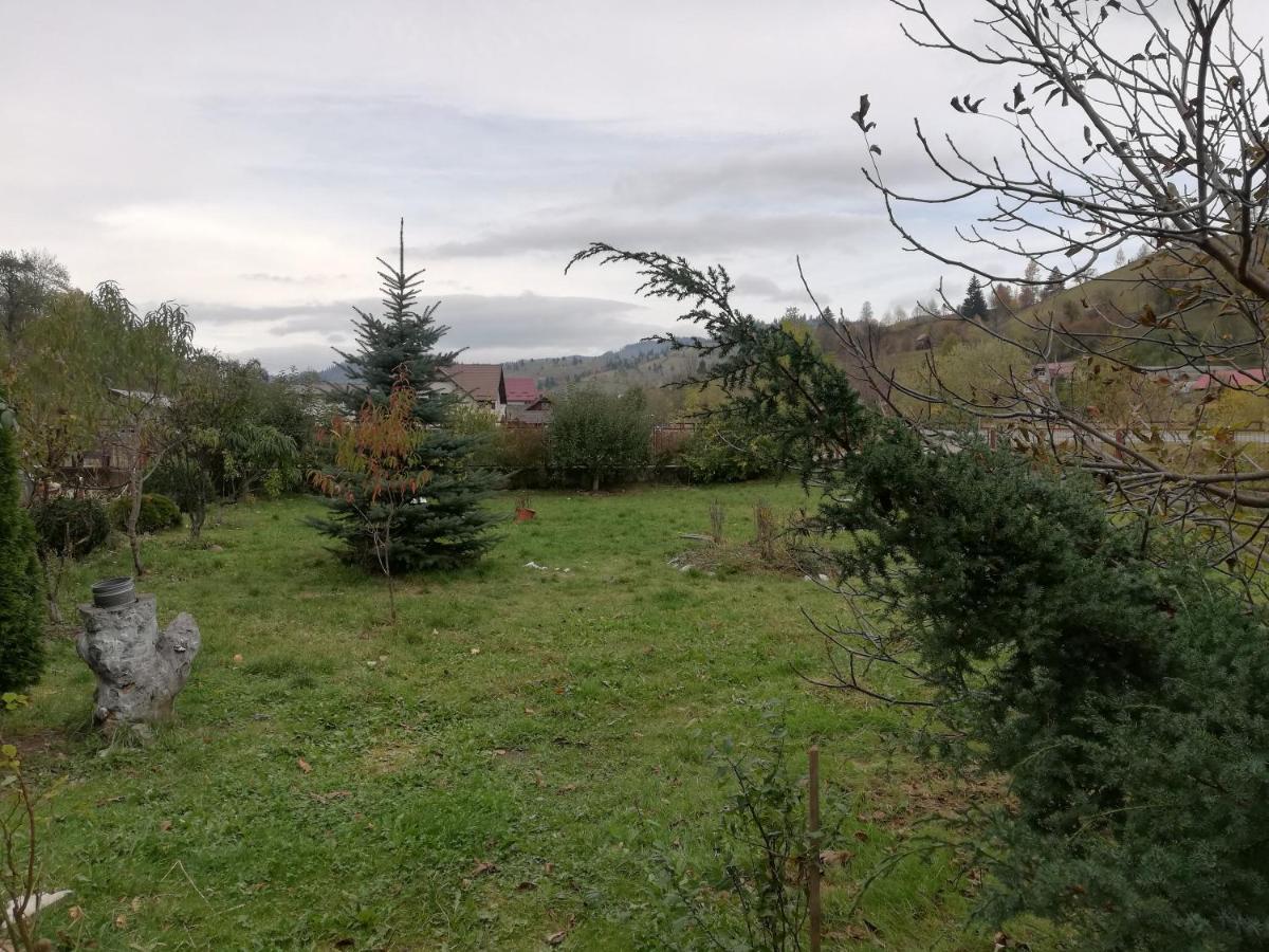 Casa Cozorici Sadova (Suceava) Exterior foto